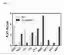 Fig. 04 - Mixed disulfide conjugates of thienopyridine compounds and uses thereof