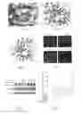 Fig. 02 - Cdc42 INHIBITOR AND USES THEREOF