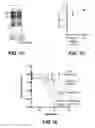 Fig. 03 - DDR2 INHIBITORS AND METHODS OF USING