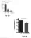 Fig. 05 - DDR2 INHIBITORS AND METHODS OF USING