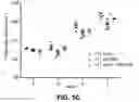 Fig. 13 - DDR2 INHIBITORS AND METHODS OF USING