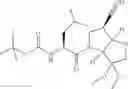 Fig. 44 - PROTEASE INHIBITORS
