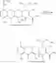 Fig. 57 - Semi-synthesis procedures