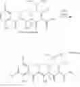 Fig. 60 - Semi-synthesis procedures