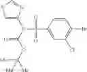 Fig. 176 - Benzenesulfonamide compounds and their use as therapeutic agents