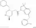 Fig. 307 - BICYCLIC HETEROCYCLE COMPOUNDS AND THEIR USES IN THERAPY