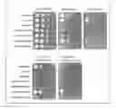 Fig. 01 - Variants of GAL2 transporter and their uses