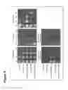 Fig. 07 - Variants of GAL2 transporter and their uses