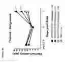 Fig. 12 - Protoxin-II variants and methods of use