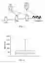 Fig. 02 - Ligand