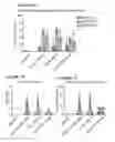 Fig. 07 - Ligand