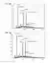 Fig. 07 - Anti-complement factor C1q antibodies and uses thereof