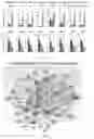 Fig. 06 - Targeting Apolipoprotein E (APOE) in Neurologic Disease