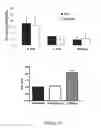 Fig. 02 - ANTIBODIES TO NTB-A