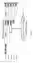 Fig. 07 - ANTIBODIES TO NTB-A