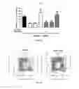 Fig. 07 - Compositions and methods for treating infection