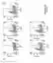 Fig. 49 - Genetically-modified cells comprising a modified human T cell receptor alpha constant region gene