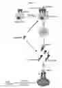 Fig. 02 - NOVEL COMPOSITIONS AND METHODS FOR TREATING IgE-MEDIATED DISORDERS