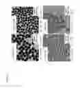 Fig. 02 - Method for producing particulate polymer