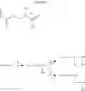 Fig. 30 - Functional polymers