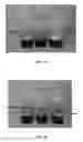 Fig. 03 - COMPOSITION CONTAINING BIS-UREAS FOR FORMING STABLE GELS