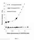Fig. 04 - COMPOSITION CONTAINING BIS-UREAS FOR FORMING STABLE GELS