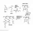 Fig. 01 - Azlactone based thermally crosslinkable polymer coating for controlling cell behavior