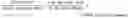 Fig. 02 - Nanolipids with encapsulated alcohol