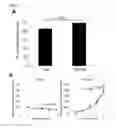 Fig. 07 - Mammalian alveolar macrophages derived from pluripotent cells