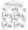 Fig. 02 - RATIONALLY-DESIGNED MEGANUCLEASES WITH ALTERED SEQUENCE SPECIFICITY AND DNA-BINDING AFFINITY