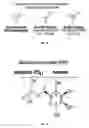 Fig. 02 - Method for selection of high M6P recombinant proteins