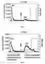Fig. 08 - Method for selection of high M6P recombinant proteins