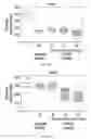 Fig. 22 - Method for selection of high M6P recombinant proteins
