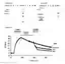Fig. 09 - Recombinant factor H and variants and conjugates thereof