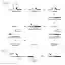 Fig. 02 - Mapping of genomic interactions
