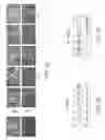 Fig. 08 - RNA interference suppression of neurodegenerative diseases and methods of use
