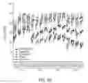 Fig. 22 - RNA interference suppression of neurodegenerative diseases and methods of use