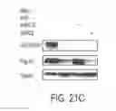 Fig. 40 - RNA interference suppression of neurodegenerative diseases and methods of use