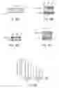 Fig. 46 - RNA interference suppression of neurodegenerative diseases and methods of use