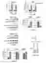 Fig. 07 - METHODS FOR TREATING NEURODEGENERATIVE DISEASES
