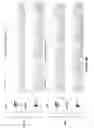 Fig. 10 - Altering Gene Expression in CART Cells and Uses Thereof