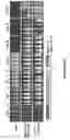 Fig. 102 - Altering Gene Expression in CART Cells and Uses Thereof