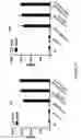 Fig. 118 - Altering Gene Expression in CART Cells and Uses Thereof