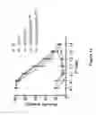 Fig. 119 - Altering Gene Expression in CART Cells and Uses Thereof