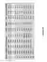 Fig. 130 - Altering Gene Expression in CART Cells and Uses Thereof