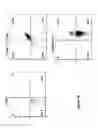 Fig. 16 - Altering Gene Expression in CART Cells and Uses Thereof