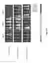 Fig. 23 - Altering Gene Expression in CART Cells and Uses Thereof