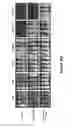 Fig. 67 - Altering Gene Expression in CART Cells and Uses Thereof