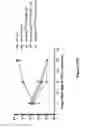 Fig. 78 - Altering Gene Expression in CART Cells and Uses Thereof