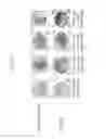 Fig. 13 - Regulatory sequences for modulating transgene expression in plants